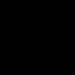 Meet your Posher, Raul